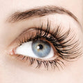 Lash & Brow Tint