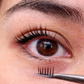 Eyelash Tint